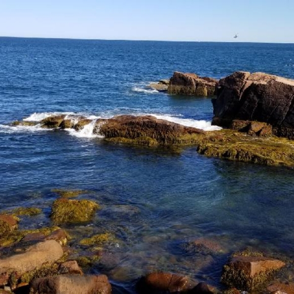 Meet your Posher, Fortunata - Picture 2 of 4